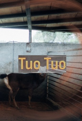 Poster of Tuo Tuo