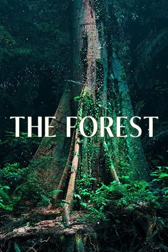 Poster of The Forest