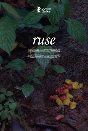 Poster of Finte