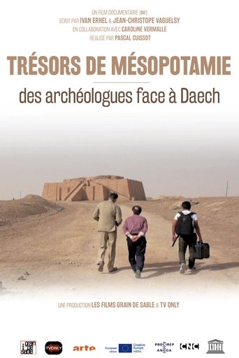 Poster of Trésors de Mésopotamie : Des archéologues face à Daech