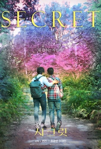 Poster of Secret