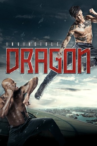 Poster of The Invincible Dragon