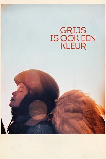 Poster of When Grey Is a Colour