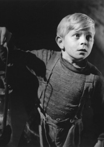 Poster of The Boy and the Bridge