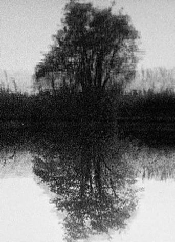 Poster of Tree Reflection