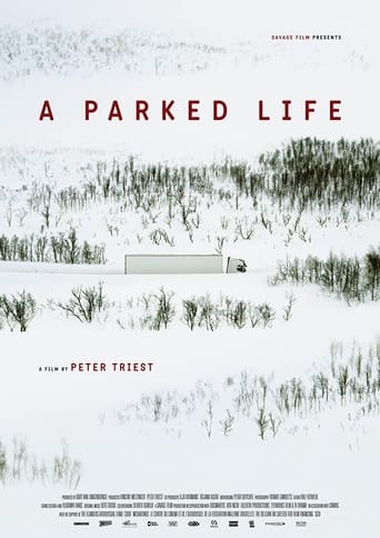 Poster of A Parked Life