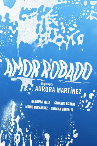 Poster of Stolen Love