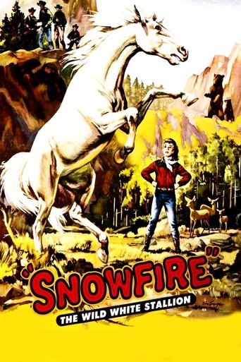 Poster of Snowfire