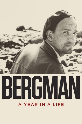 Poster of Bergman: A Year in a Life