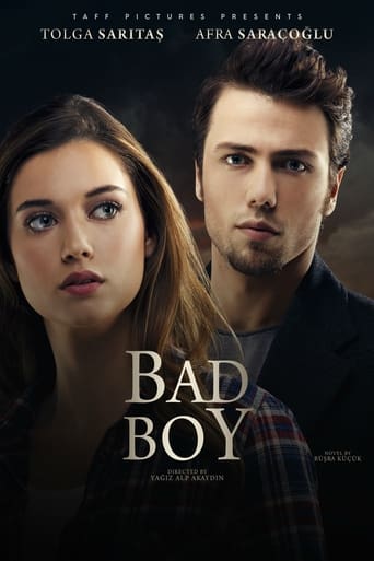 Poster of Bad Boy