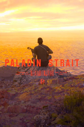 Poster of Paladin Strait