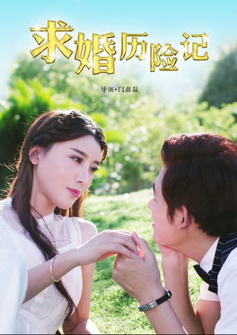 Poster of 求婚历险记