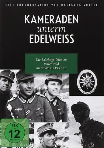 Poster of Comrades under Edelweiss