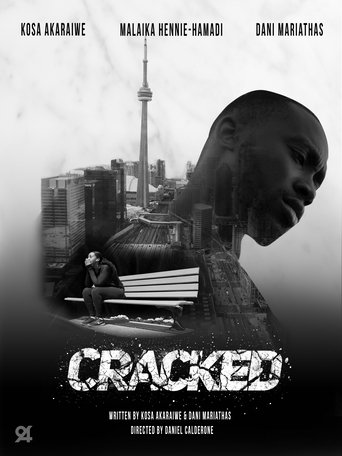 Poster of Cracked