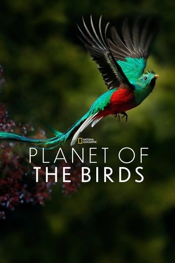 Poster of Planet of the Birds