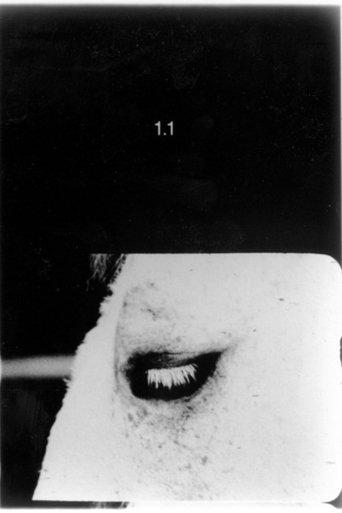 Poster of Pocket Cinema - The Catalogue