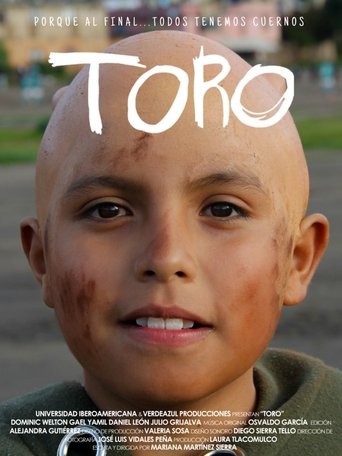 Poster of TORO