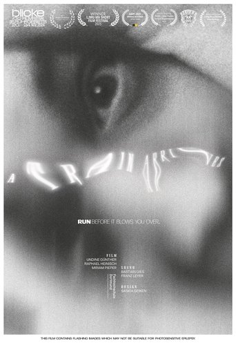 Poster of A Train Arrives
