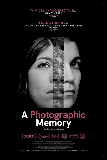 Poster of A Photographic Memory