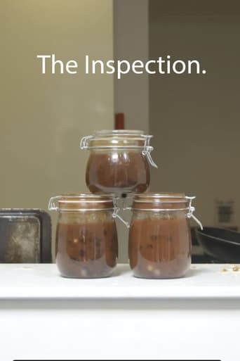 Poster of The Inspection