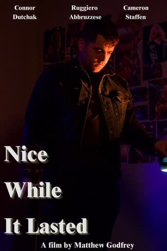 Poster of Nice While it Lasted