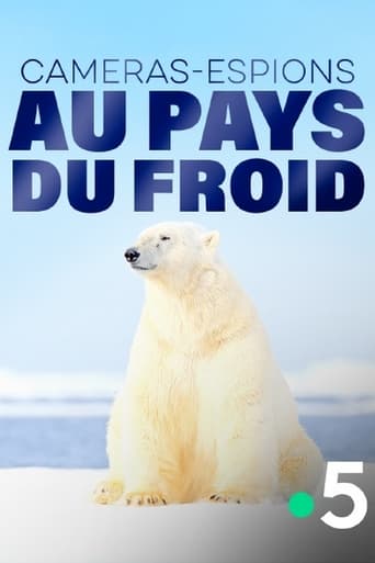 Poster of Caméras-espions au pays du froid