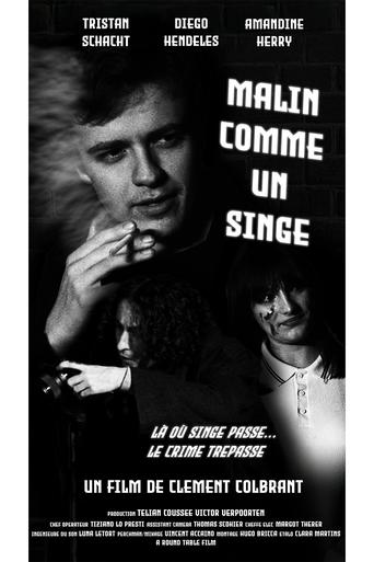 Poster of Malin comme un singe