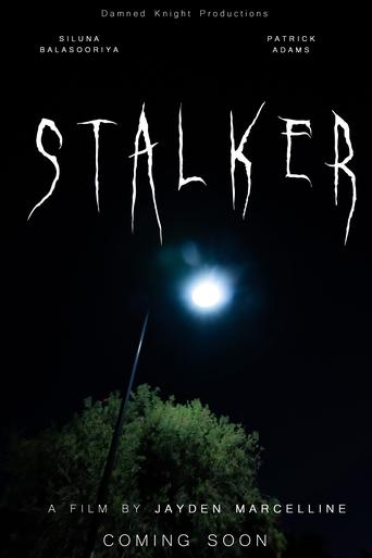 Poster of STALKER