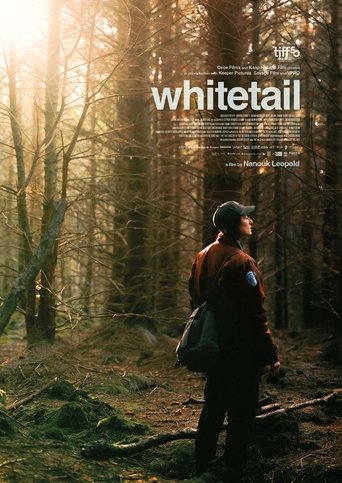 Whitetail Poster of Whitetail