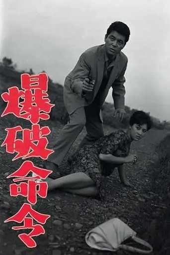 Poster of 爆破命令