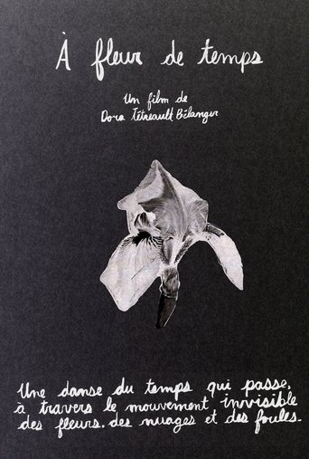 Poster of À fleur de temps