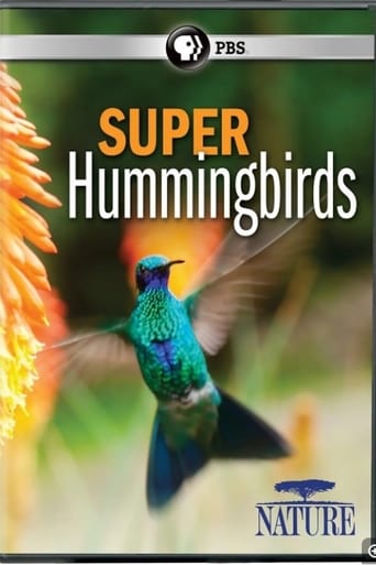 Poster of Super Hummingbirds