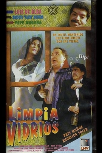 Poster of El limpiavidrios