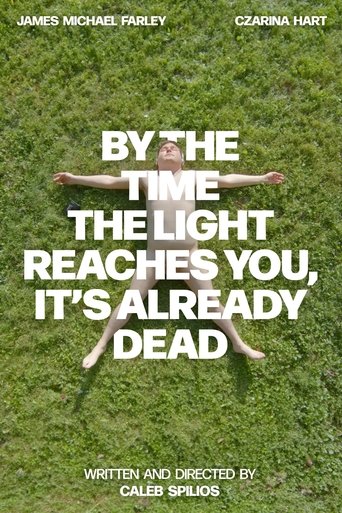 Poster of By the Time the Light Reaches You, It’s Already Dead