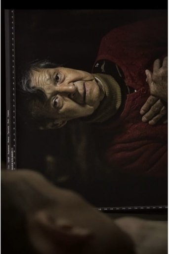 Poster of The Shadows
