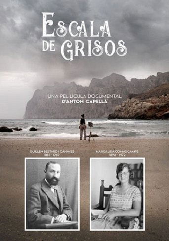 Poster of Escala de grisos