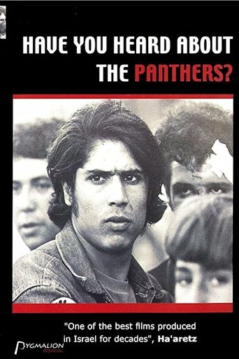 Poster of Have You Heard about the Panthers?