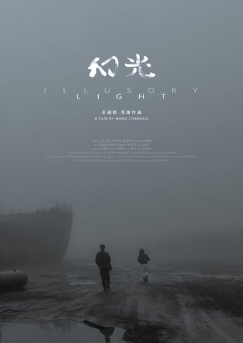 Poster of Illusory Light