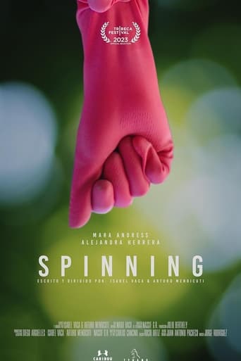 Poster of Spinning