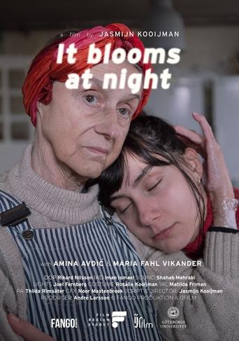 Poster of It Blooms at Night