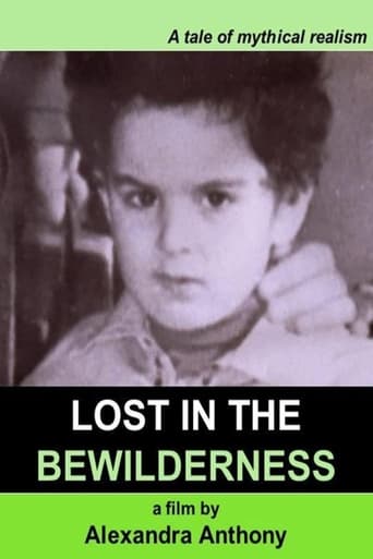 Poster of Lost in the Bewilderness