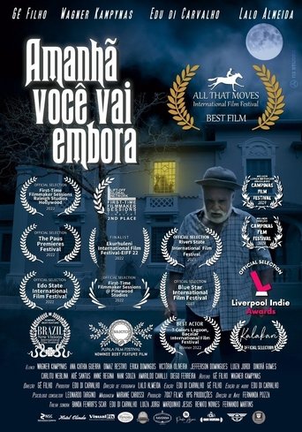 Poster of Amanhã você vai embora