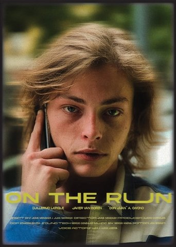 Poster of On The Run