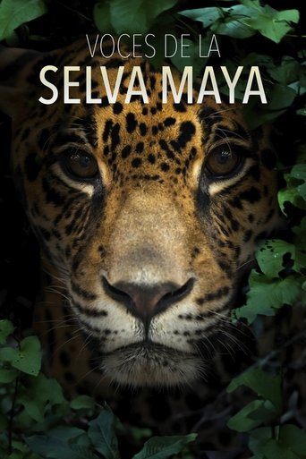 Poster of Voces de la Selva Maya: Una Batalla por la Vida