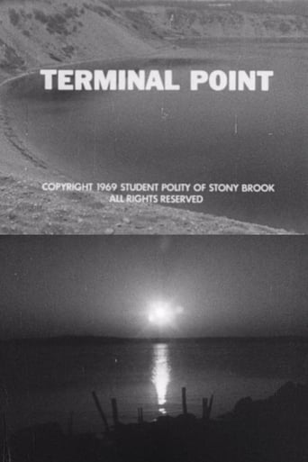 Poster of Terminal Point