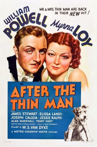 Poster of After the Thin Man