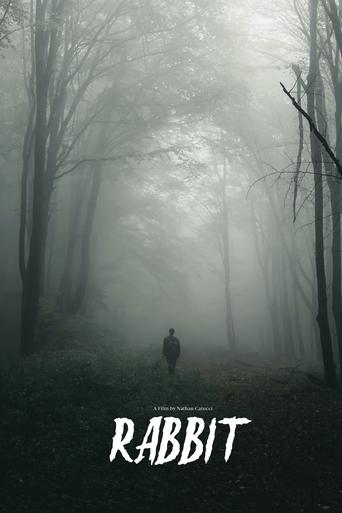 Poster of Rabbit