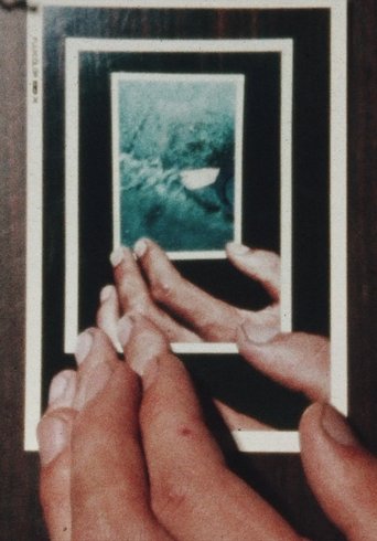 Poster of Dutchman’s Photographs (8mm)
