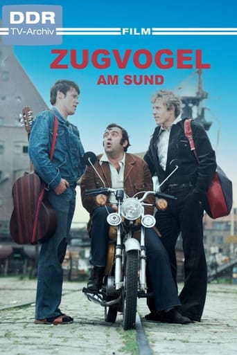 Poster of Zugvogel am Sund