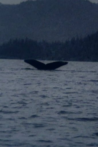 Poster of Whales